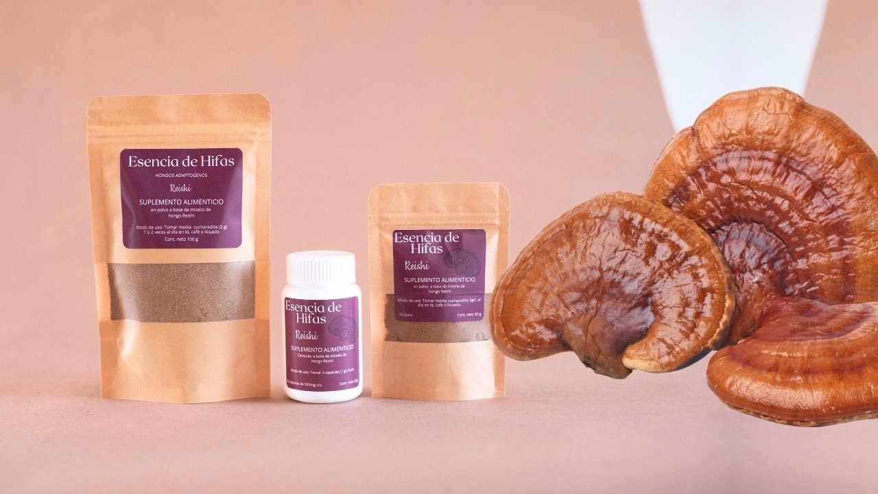 Reishi
