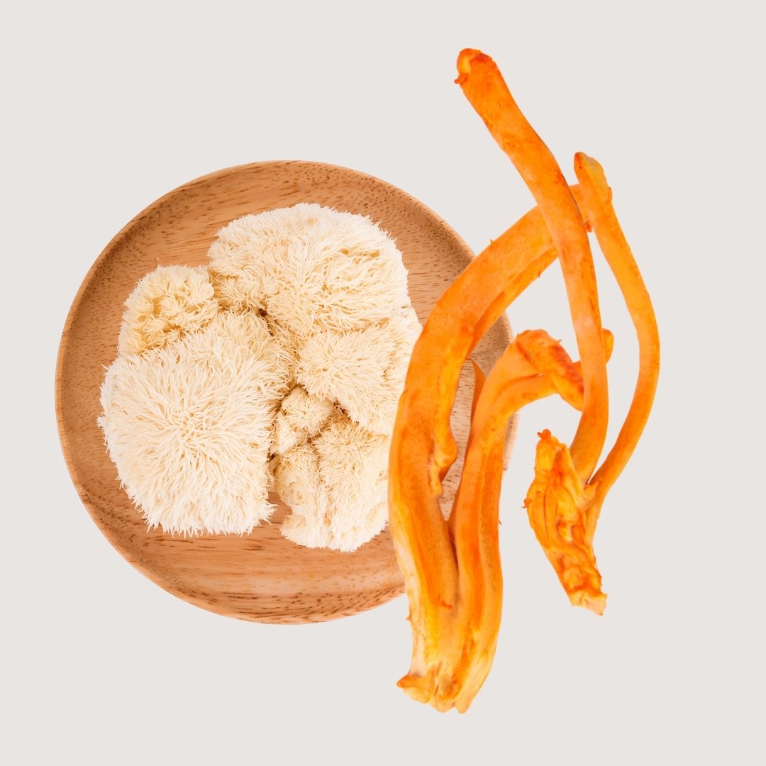 Hongos adaptógenos, hongos medicinales, hongo Cordyceps (Cordyceps militaris), hongo Melena de León (Hericium erinaceus).